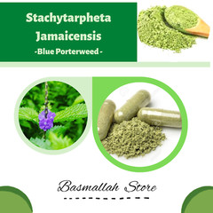 Capsules Blue Porterweed Blue Snake Weed Brazilian Tea Jamaica Vervain