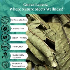 Dried Guava Leaves, Hojas de Guayaba, Psidium Guajava, Guava Leaf Tea, 2.6oz