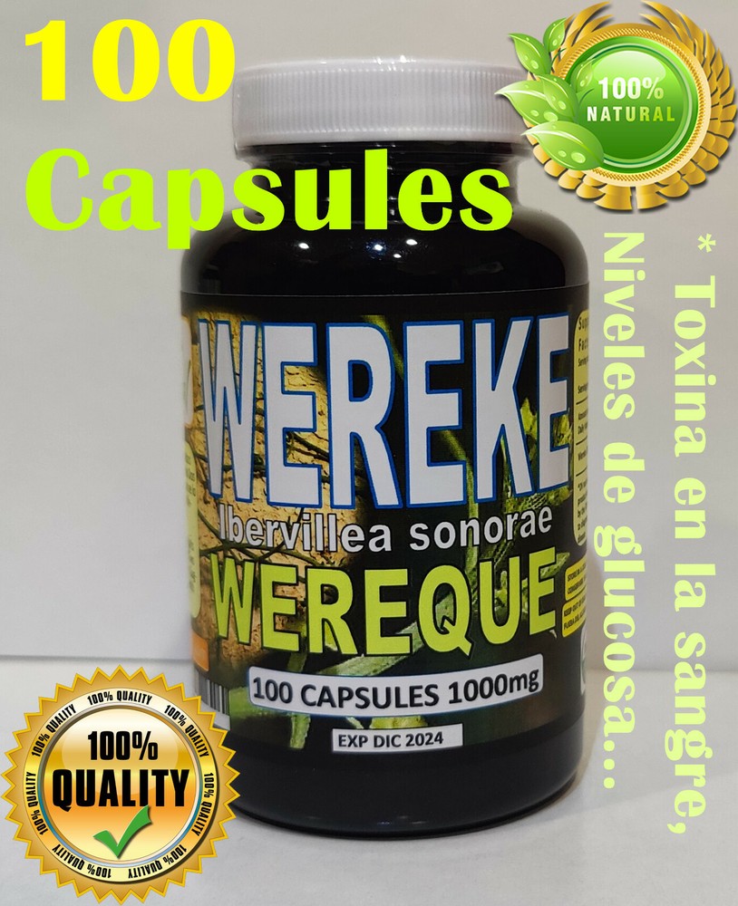 Wereke,Wereque,raiz de wereke,wereque organico, guareque, Ibervillea sonorae !!!