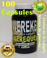 Wereke,Wereque,raiz de wereke,wereque organico, guareque, Ibervillea sonorae !!!