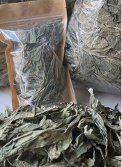 25g Organic Insulin Plant Leaves – Costus Igneus Thebu Herbal Tea Natural Remedy