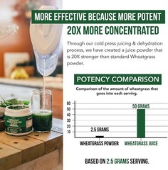 Raw BioActive Organic Wheatgrass Juice Powder – 20:1 Concentrate, 60 Servings