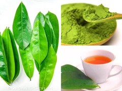 100% Organic Pure SOURSOP Graviola Leaf Guanabana Muricata Powder Hojas Annona