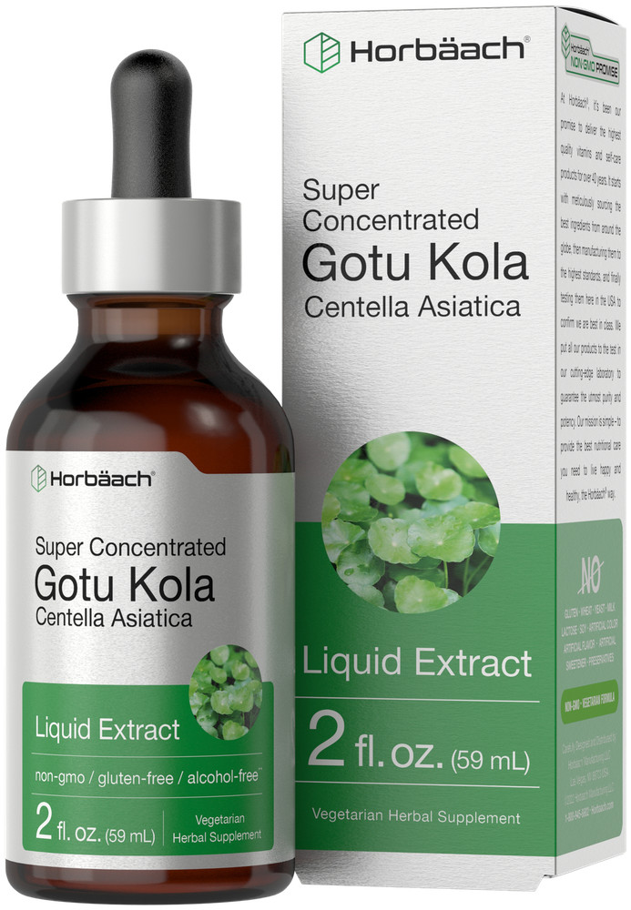 Gotu Kola Liquid Extract | 2 fl oz | Alcohol Free | Vegetarian | by Horbaach