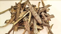 Aspen bark Thin Spring 2026 organic natural dried Populus tremula Eco product