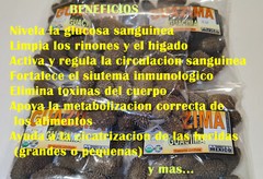 guazima guásimo guácima guásima caulote cuaulote Guazuma ulmifolia semillas 4oz