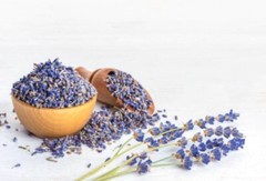 Lavender Flower | Whole or Powder | Natural Herb Calm & Digestive Aid | 1/4/8 OZ