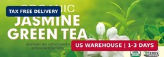 Organic Jasmine Green Tea Bags 100 Count Individually Wrapped | Lower Caffeine |