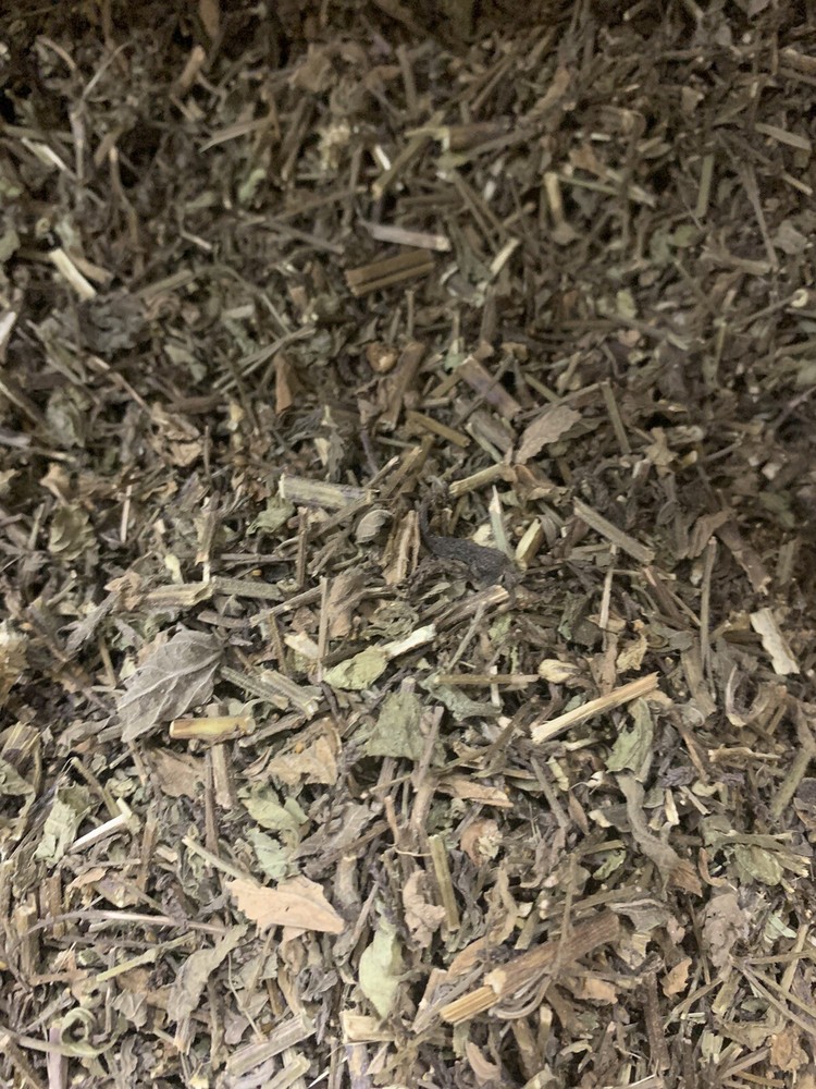 Verbena 3.5oz Blue Vervain Verbena