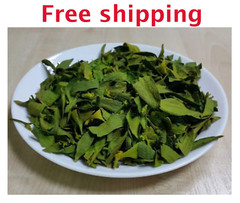 Mistletoe ( Viscum album, Omela ) 120g 450g Organic