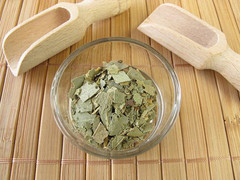 Eucalyptus Leaf Herb 1 oz – Organic Cut & Sifted | Respiratory Support