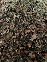 CACAO CEREMONY INCENSE 150g PURE ENERGY UNIVERSAL LOVE COPAL & DAMIANA AU SELLER