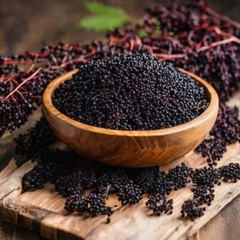 Elderberry Tincture Elderberry Extract Immune Support Sambucus Nigra – USA