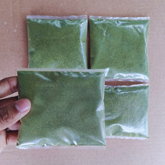 Insulin Plant Leaf/Leaves Ground Powder Fiery Diabetic Blood Sugar Support Tea