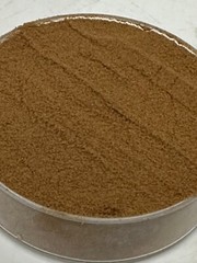 Pygeum Bark 30:1 Extract Powder. Origin: Southern Africa