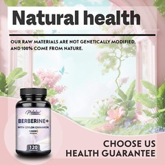 Berberine with Ceylon Cinnamon 1200mg-Heart&Sugar Health,Immune System Support