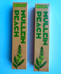 MULLY Mullein Aroma Diffuser Plant Based Nicotine Free Peach, 500 Inhalations