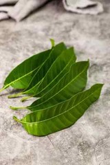 Mango Leaves Dried Organic Natural 100% Quality Herbal Fresh Leaves 50g
