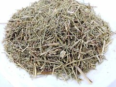 Common wormwood artemisia 100 gram (3.5 oz) عشبة الشيح شيح