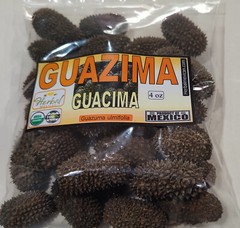 guazima guásimo guácima guásima caulote cuaulote Guazuma ulmifolia semillas 4oz