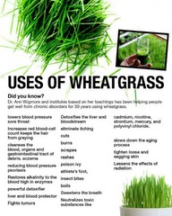 60 Wheatgrass & Ginger Root Capsules | Digestion, Alkalinity, Nutrients & More