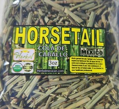 Horsetail,Shavegrass,Shave grass ,Field horsetail,Common horse tail,Equisetum !!