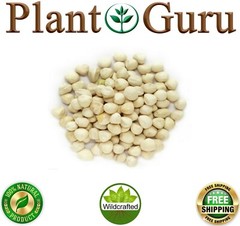500 Moringa Oleifera Seeds Kernel 4 oz. SHELLED Fresh Organic Semilla De Moringa