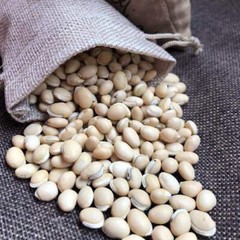 白扁豆 Bai Bian Dou/Lablab Semen Album/Hyacinth Bean