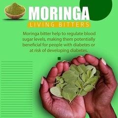 Moringa,Lose Weight Living Bitters – Natural Herbal Supplement – 16oz – Pack 2