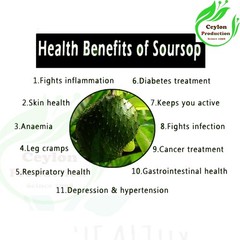 Soursop Fruit Powder Natural Graviola Ground Herbal Fine Dried Powder