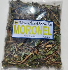 Moronel Planta de La Vida Te de moronel moronel organico hierba mexicana