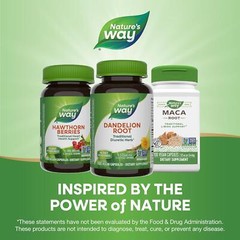 Dandelion Root 1,575 Mg Diuretic Herb Digestion Water Balance Support, 100 Caps