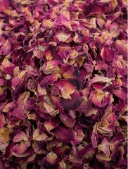 Herbs- Flowers