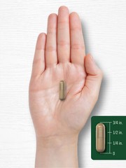 Milk Thistle Extract Capsules | 1000mg | 300 Count | Non-GMO | by Carlyle