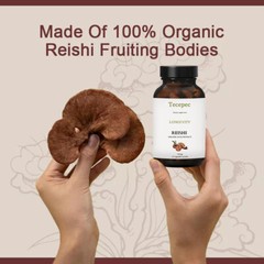 Ganoderma Capsules 500mg Lingzhi Reishi Immunity Booster