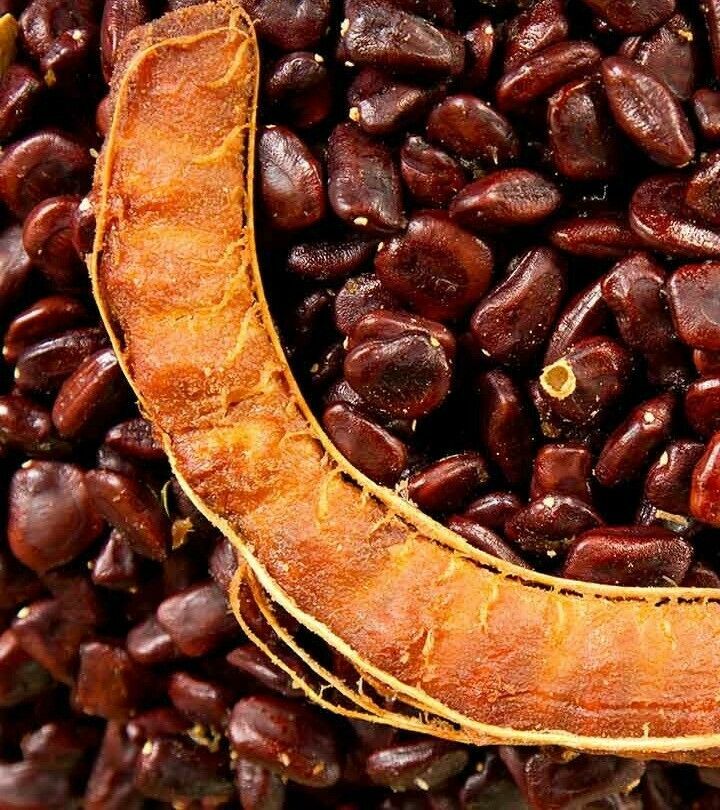 Tamarind Seed WHOLE, Imli Bee FREE SHIPPING 50gm