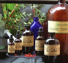 MILK THISTLE Extract Gall Optimal Liver Health ORGANIC Folk Remedy Tincture ~