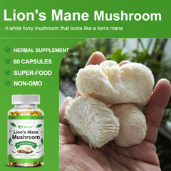 Lion’s Mane Capsules – Brain Support & Memory Boost – Natural Nootropic 60pcs