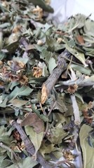 450 g Hawthorn Leaf, Your 100% Natural Wellness Companion Herb ورق الزعرور اوراق