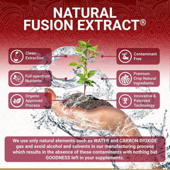 Organic Pomegranate Extract Supplement | USDA Certified Pomegranate Powder from