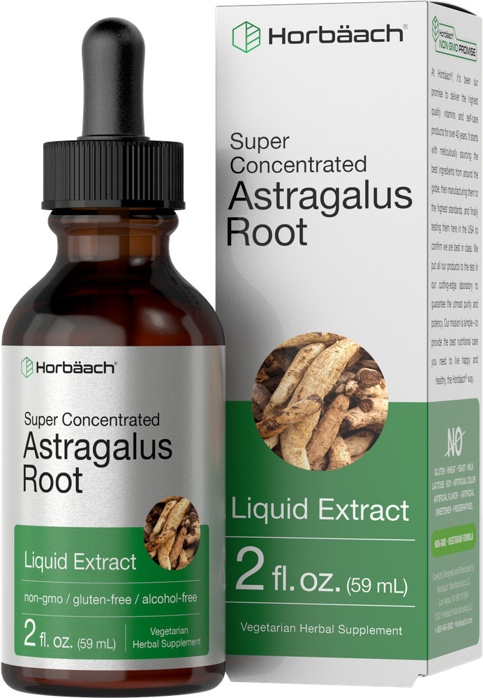 Astragalus Root Liquid Extract | 2 oz | Alcohol Free | Vegetarian | by Horbaach