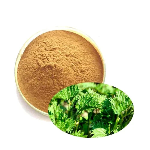 Stinging Nettle Leaf Extract Urtica Dioca 20% Saponin Free Shipping 2000 Gram