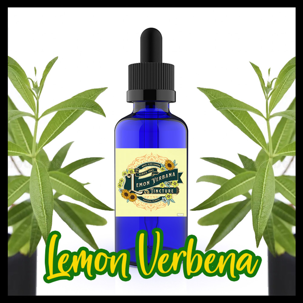 Lemon Verbena Extract – Lemon Verbena Tincture – Aloysia citriodora BIG 2oz USA