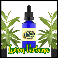 Lemon Verbena Extract – Lemon Verbena Tincture – Aloysia citriodora BIG 2oz USA