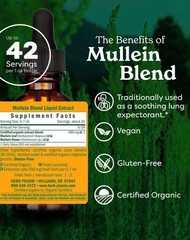 Fast-Absorbing Mullein Blend – 1 FL Oz Certified Organic Respiratory Support