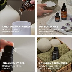 Cliganic Organic Essential Oils Set (Top 5 – The Classics) – 100% Pure Natural –