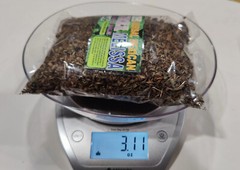 Toronjil, Melisa, Melissa officinalis, lemon balm herb, balm, common balm, balm