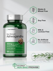Horbäach Ashwagandha Supplement | Max Strength | 120 120 Count (Pack of 1)