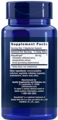 TEAR SUPPORT with MAQUIBRIGHT EYE HEALTH FOR DRY EYE 90 Veg Cap LIFE EXTENSION