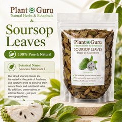 Dried Soursop Leaves – Natural Graviola Soursop Tea Leaves, Hojas de Guanabana